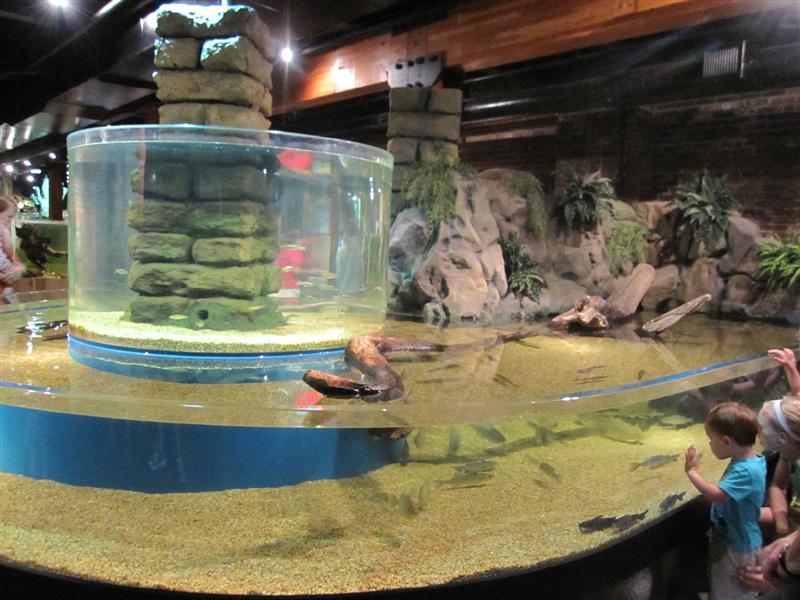 Cleveland aquarium